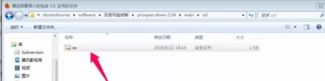 Proxyee Down安装使用具体操作流程