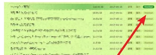 torrentkitty用torrentkitty进入的相关操作介绍