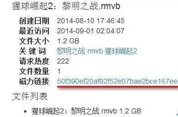 迅雷7使用磁力链接下载视频的操作教程