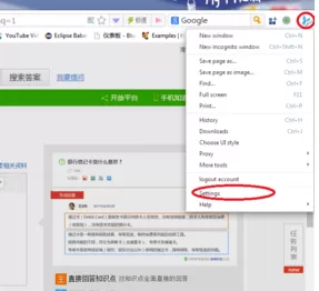 360极速浏览器将英文模式调整为中文的操作教程