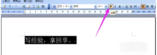 word软件基础操作教程