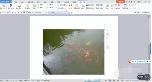 word软件常见操作步骤