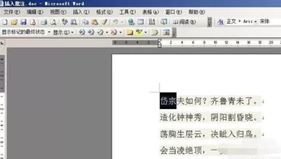 word2003中插入批注的方法