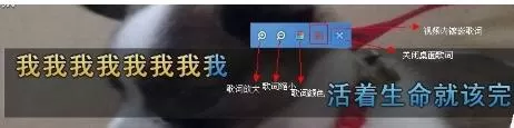 YY开播伴侣的具体使用方法