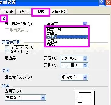 word2003页面设置的使用教程