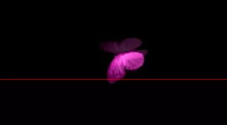 edius修改视频里对象颜色的操作教程