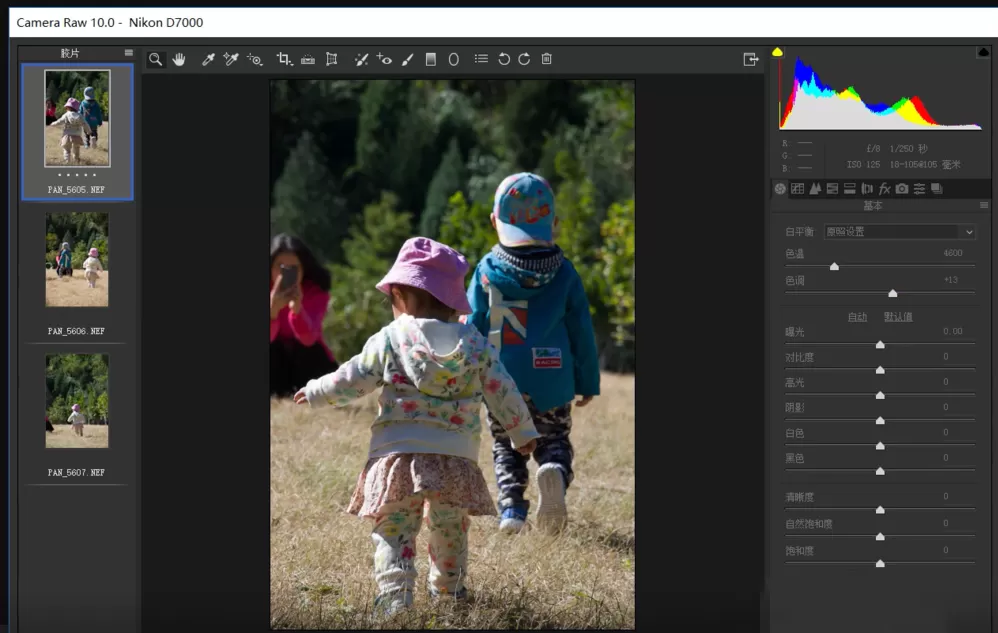 Photoshop中出现Camera Raw无法批量处理照片的相关操作方法