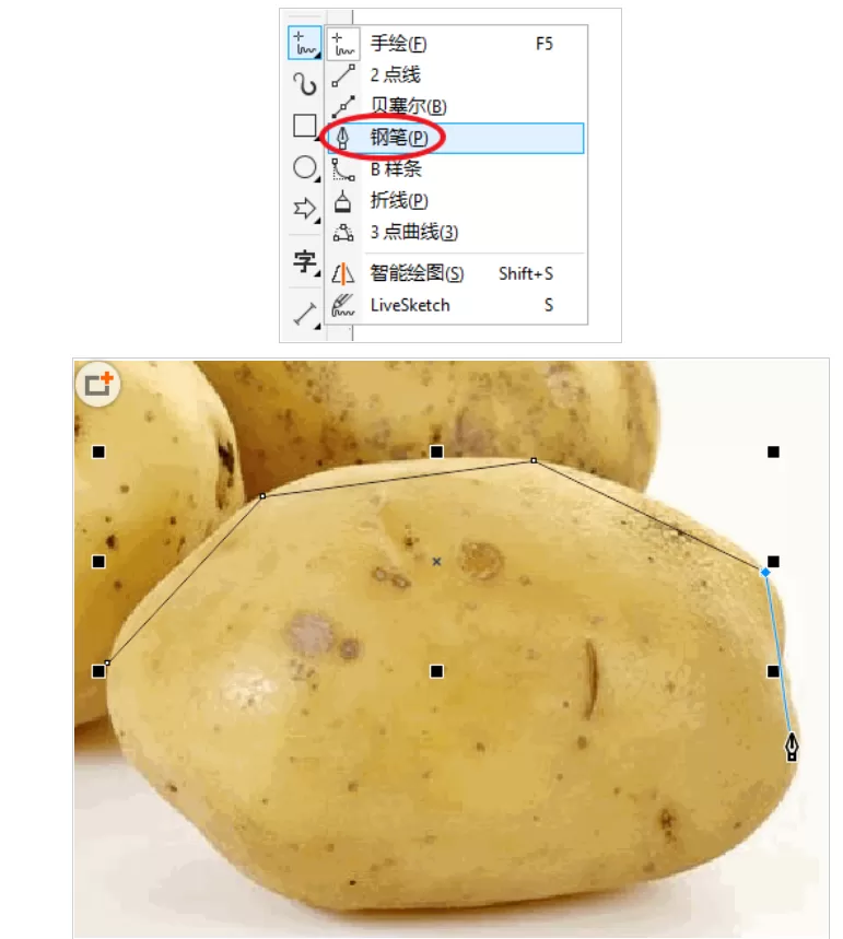 cdr抠土豆的详细操作方法