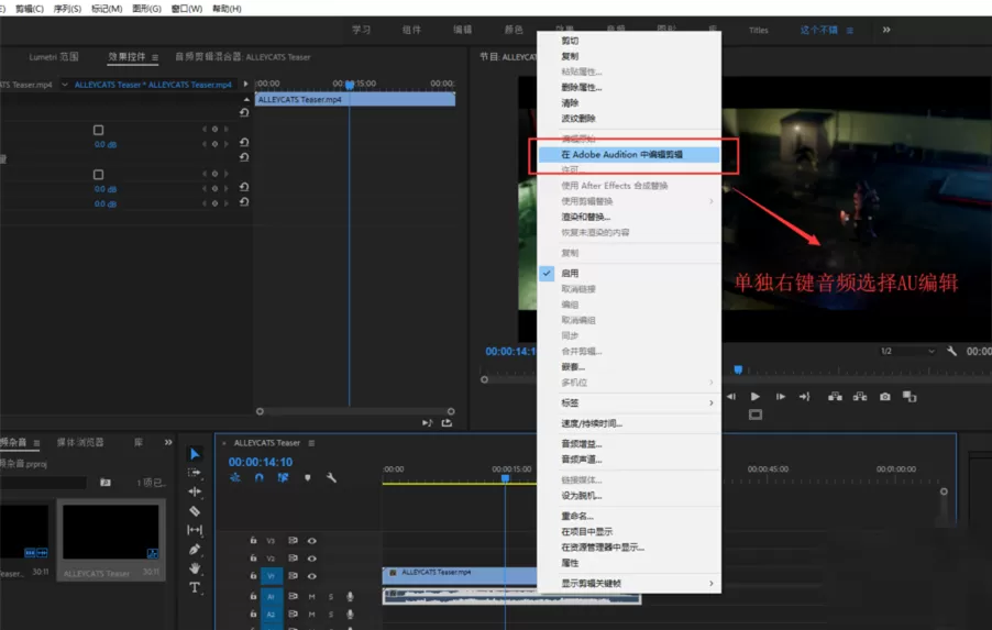 Premiere消除视频噪音的具体操作方法