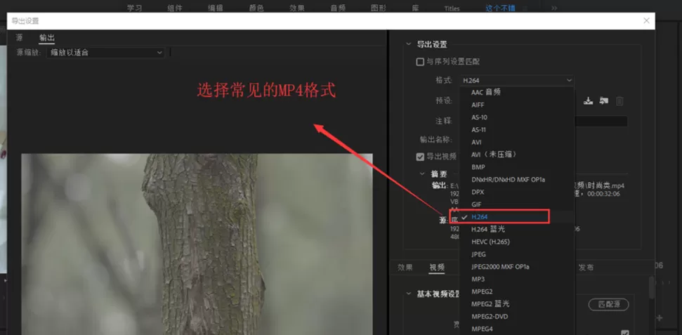 Premiere设置导出小体积清晰视频的使用操作