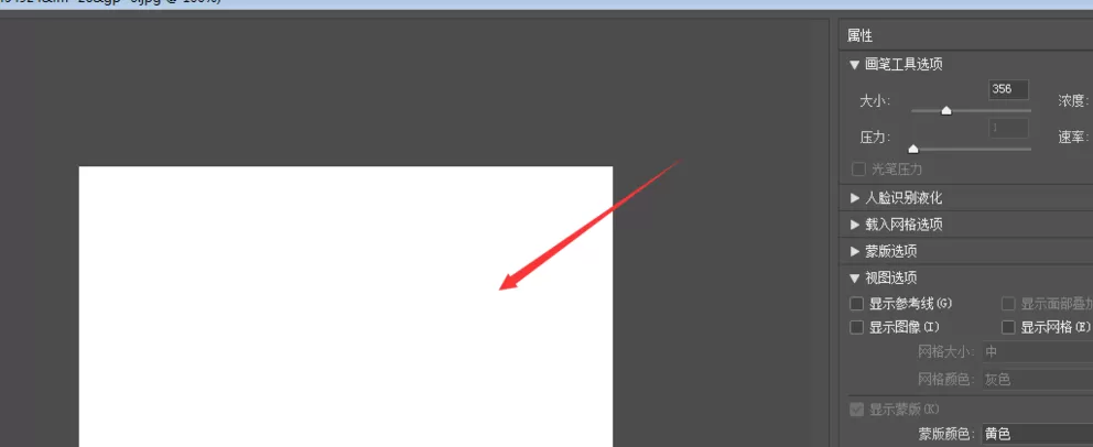 Photoshop出现液化窗口不显示图片的操作流程