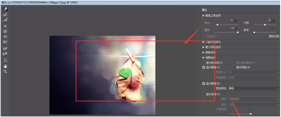 Photoshop出现液化窗口不显示图片的操作流程