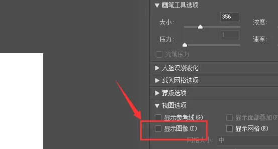 Photoshop出现液化窗口不显示图片的具体处理
