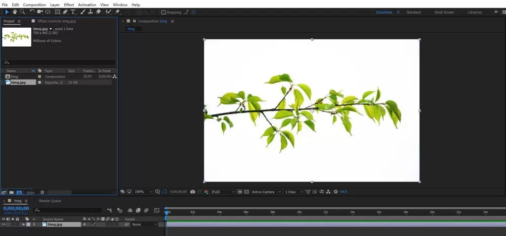 ae迅速抠出图片中树枝图形的具体操作步骤