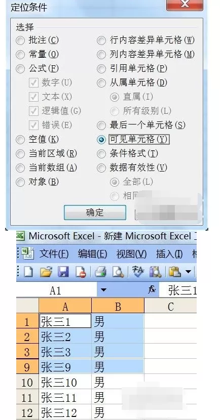 Excel有隐藏行时进行复制的操作步骤