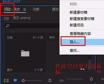 premiere给视频添加光源闪烁效果的具体步骤