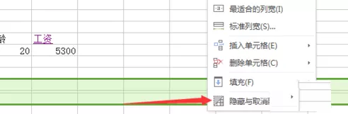WPS表格取消隐藏行列的具体操作