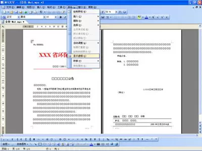 WPS将公文默认保存成DOC格式的操作流程