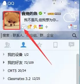 QQ查看共同好友的详细操作