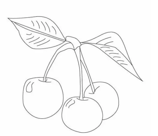 AI制作樱桃的图文操作过程