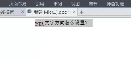 WPS设置文字方向的详细操作