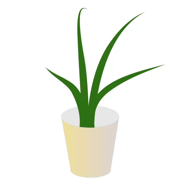 cdr制作绿植盆栽的图文操作