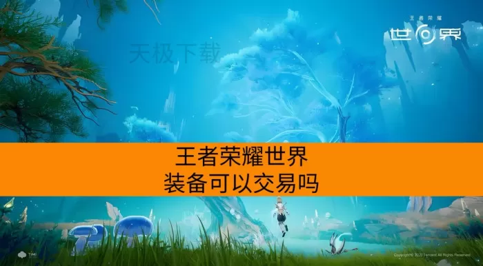 王者荣耀世界装备可以交易吗_属性怎么选择