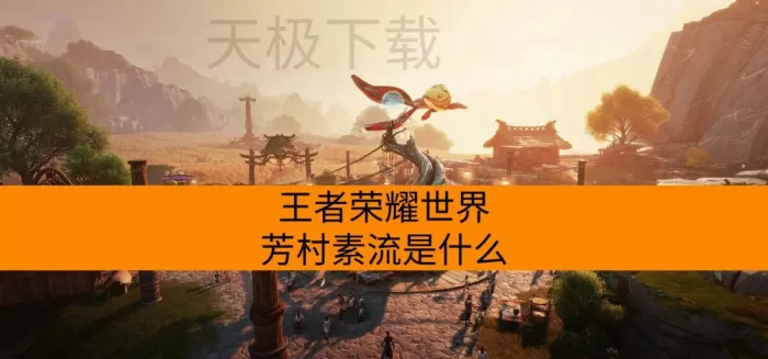 王者荣耀世界芳村素流是什么_怎么获得