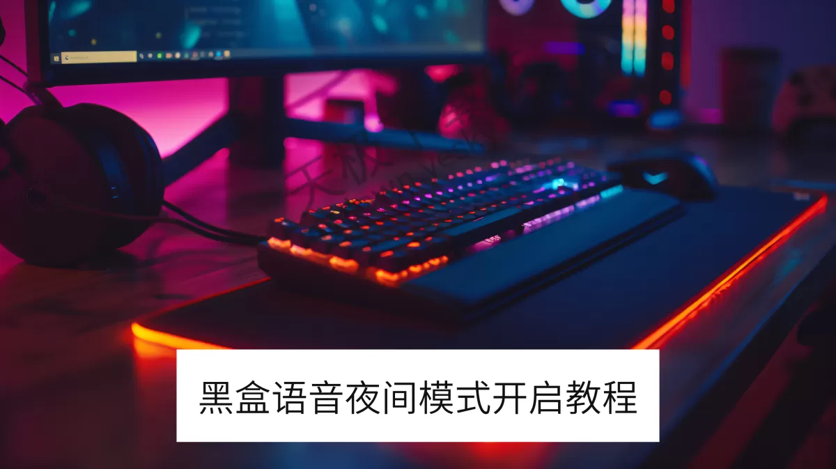 黑盒语音电脑版夜间模式开启教程_黑盒语音如何自定义外观主题
