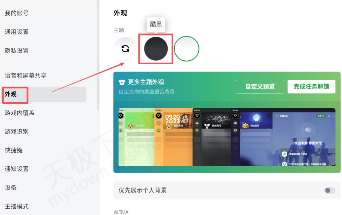 黑盒语音电脑版夜间模式开启教程_黑盒语音如何自定义外观主题
