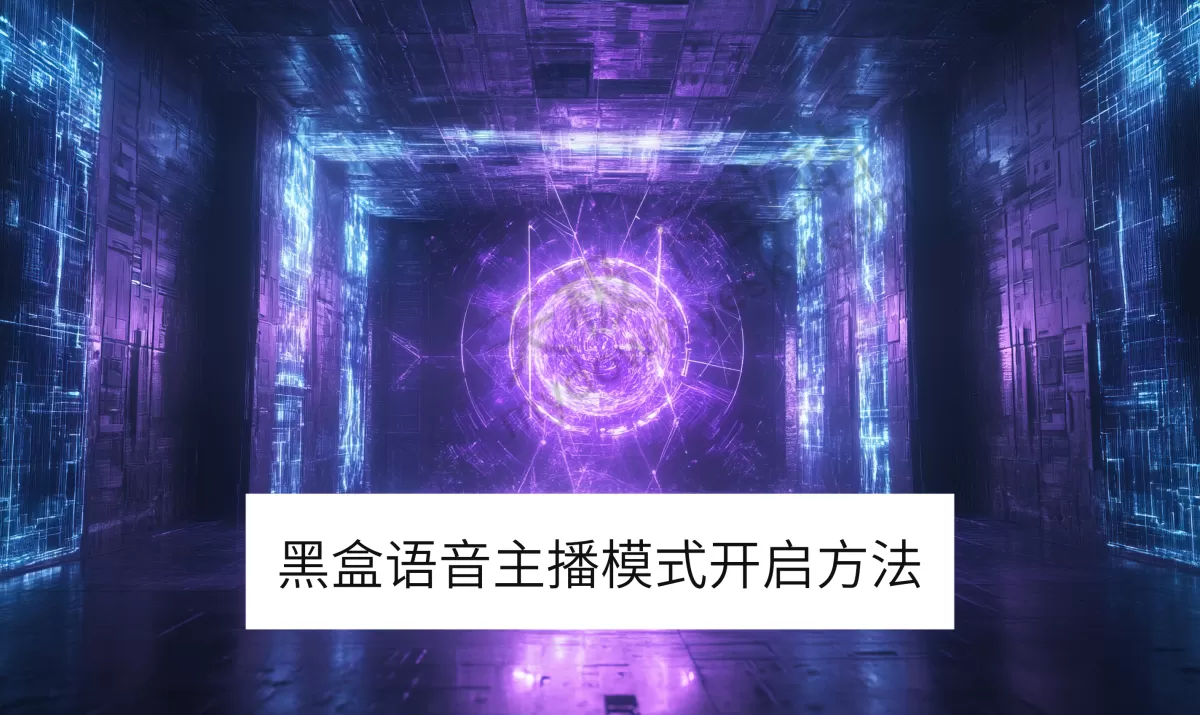 黑盒语音电脑版主播模式开启方法_主播模式白名单在哪添加