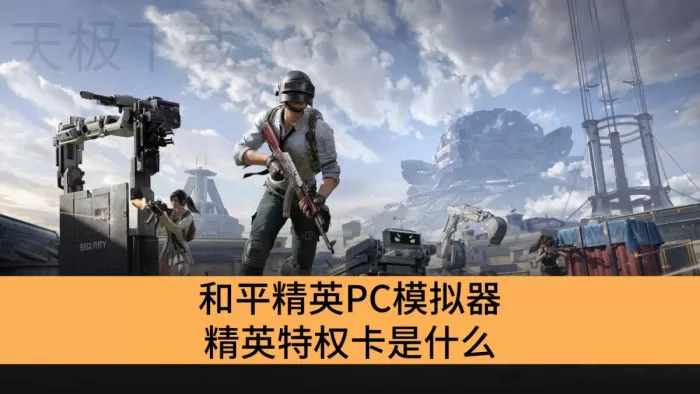 和平精英PC模拟器精英特权卡内容介绍_和平精英PC模拟器精英特权卡要多少钱