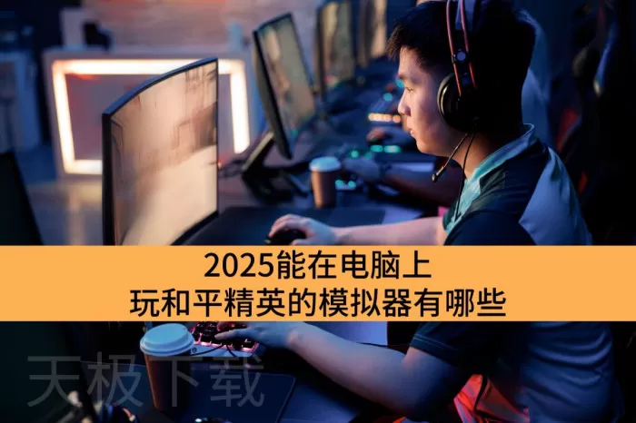 2025能在电脑上玩和平精英的模拟器有哪些_性能强大的和平精英电脑模拟器排行榜