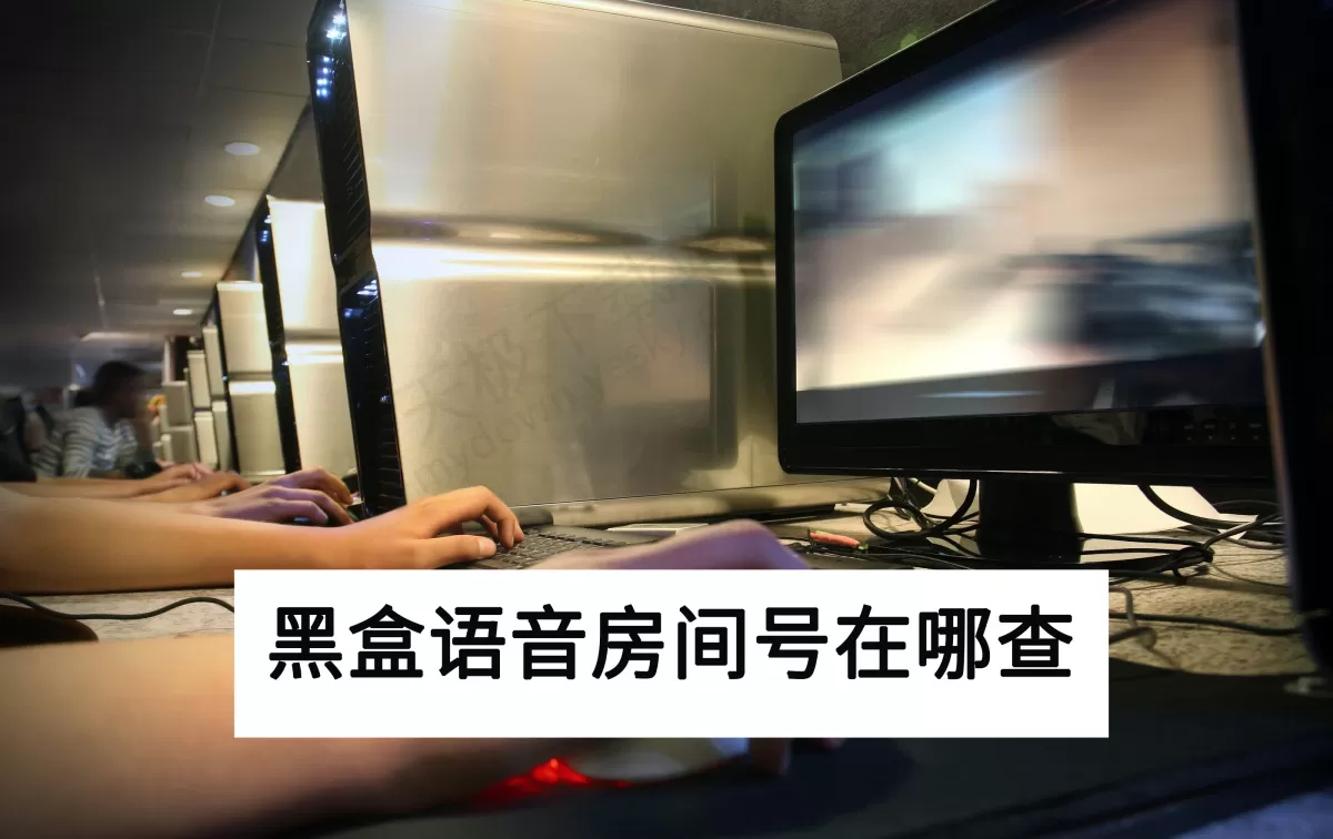 2025电脑版黑盒语音房间号在哪查_怎么把房间分享给他人