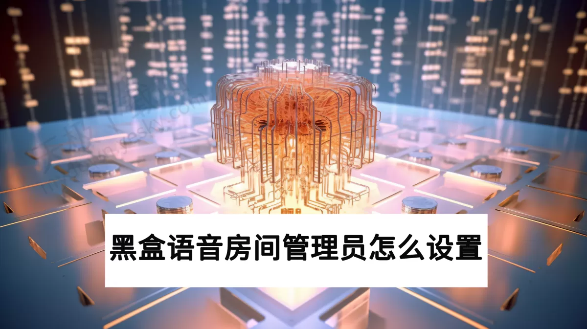 2025电脑版黑盒语音房间管理员怎么设置_怎么把房间转让给他人