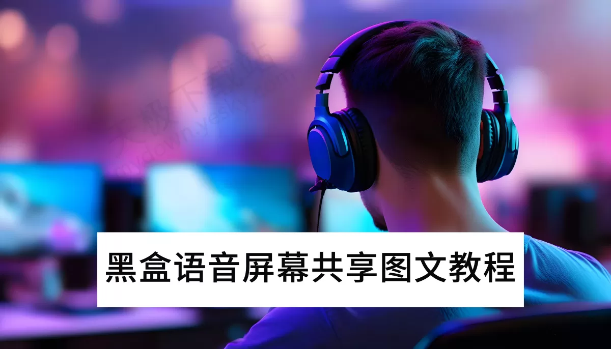 电脑版黑盒语音屏幕共享图文教程_黑盒语音怎么共享屏幕