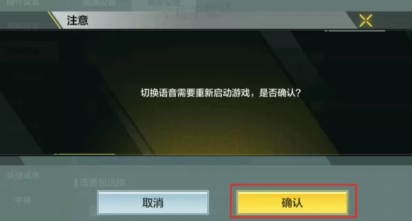 使命召唤手游怎么设置英文语音包_英文语音包占多少内存