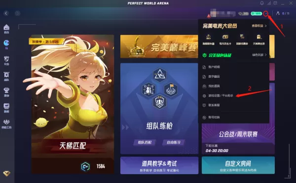 完美竞技平台在哪加启动项_玩家常用启动项介绍