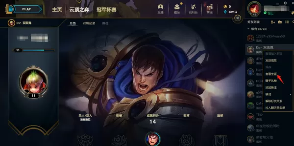 英雄联盟怎样查看玩家资料详细操作方法介绍