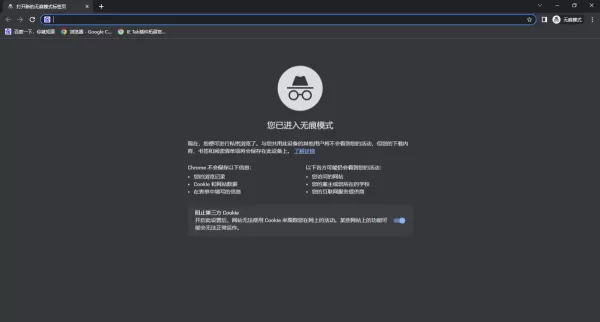 谷歌浏览器每次启动都进入无痕模式教程_谷歌浏览器开启网站访问功能方法