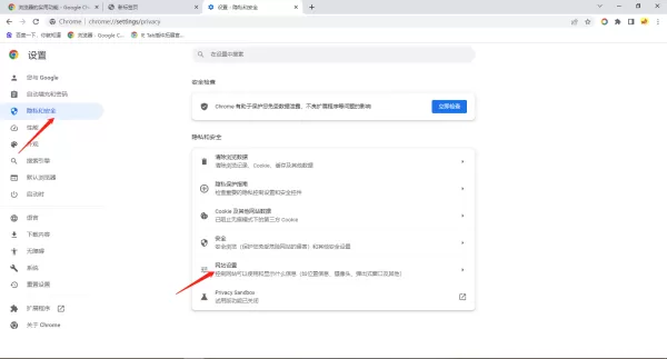 谷歌浏览器每次启动都进入无痕模式教程_谷歌浏览器开启网站访问功能方法