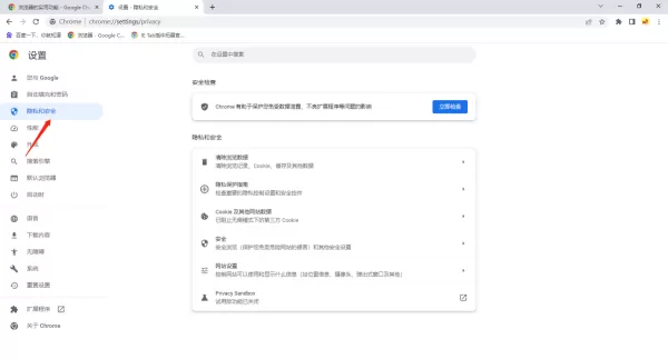 谷歌浏览器设置隐私沙盒模式教程_谷歌浏览器自定义背景颜色方法