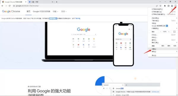 谷歌浏览器视频网页没有声音咋回事_谷歌浏览器网页没有声音解决步骤