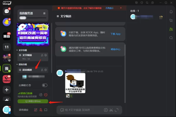电脑版的KOOK能不能共享屏幕_KOOK共享屏幕方法