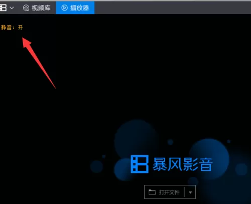 暴风影音电脑版如何进入静音模式_暴风影音快速切换音轨的步骤