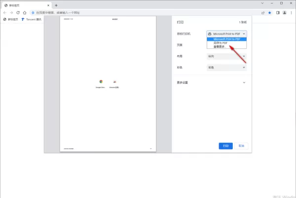 谷歌浏览器如何允许动画插件运行_如何把谷歌浏览器的网页保存为pdf格式