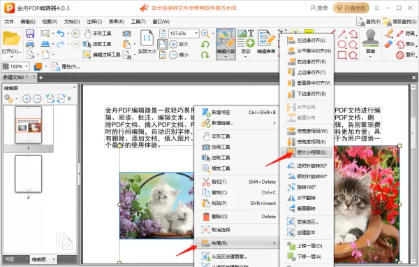 金舟PDF编辑器怎么设置文本行距_怎么添加图片背景