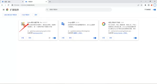谷歌浏览器恢复已关闭的网页的方法_怎么批量下载图片