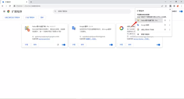 谷歌浏览器恢复已关闭的网页的方法_怎么批量下载图片