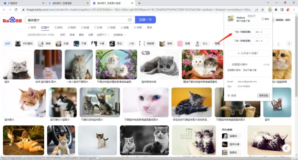 谷歌浏览器恢复已关闭的网页的方法_怎么批量下载图片